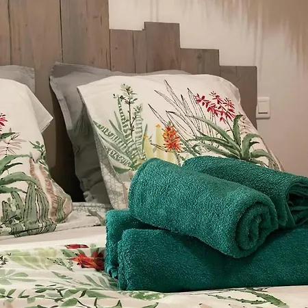 Gite Du Canal Feriehus Montech