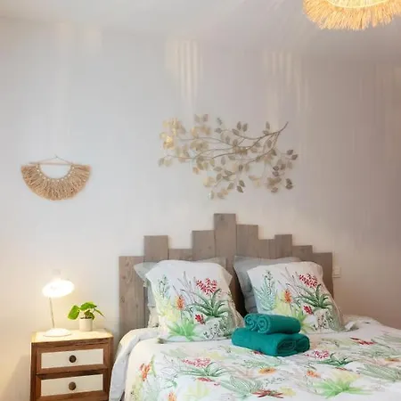 Gite Du Canal Montech