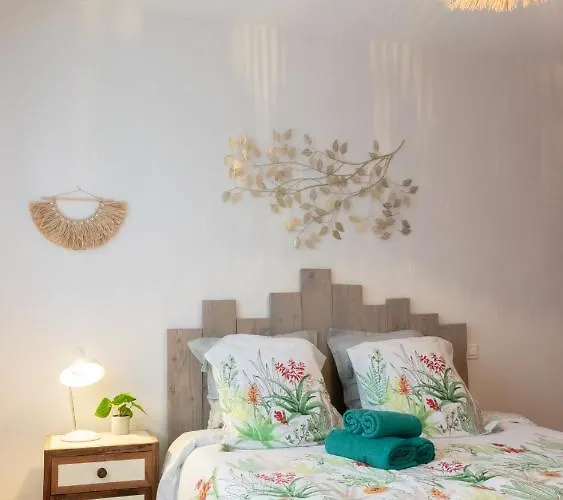 Gite Du Canal Montech